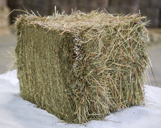 Foin de Crau pour lapin AOP-AOC 5kg