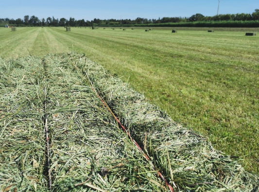 Foin de Crau pour lapin PRENIUM APO-AOC 2.5kg-18L