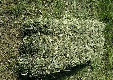 Foin de Crau pour lapin PRENIUM AOP-AOC bottes 30-40kg